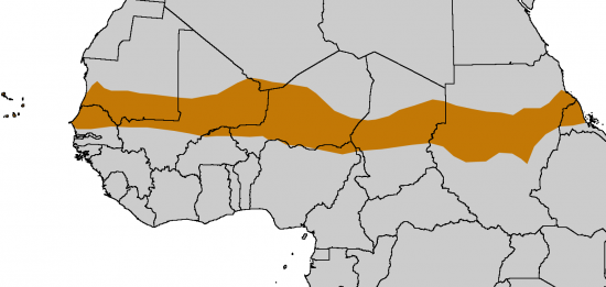 Sahel_Map_Africa_rough.png