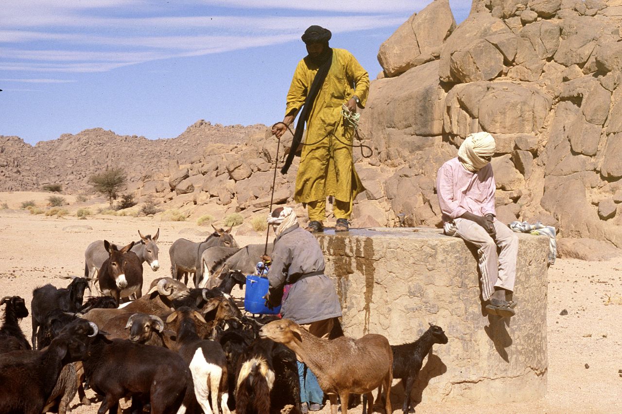 23_Wikicommons_Touareg_elevage_Gruban.jpg