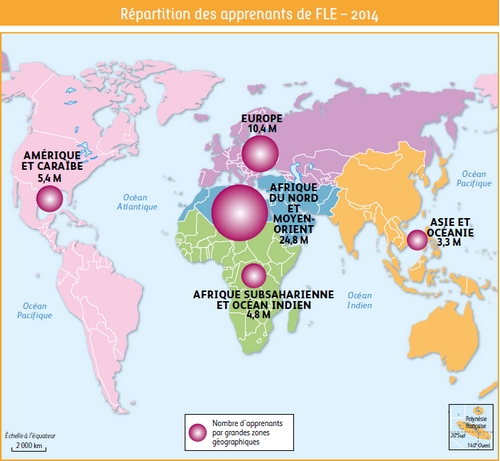 3repartition_FLE.jpg