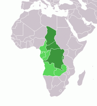 afriquecentrale03vierge.gif
